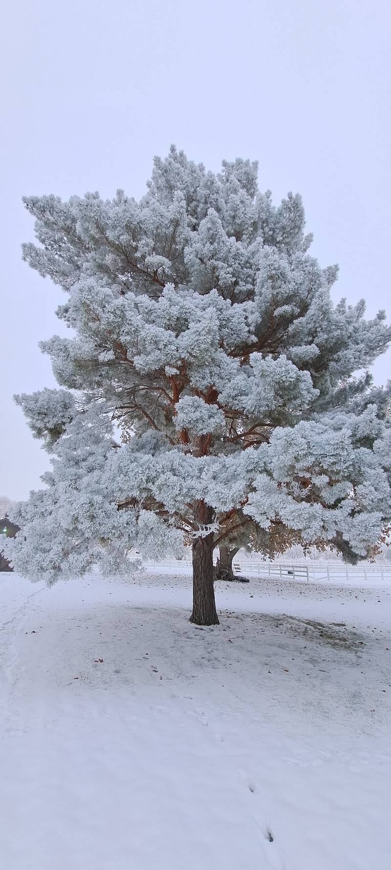 West Richland