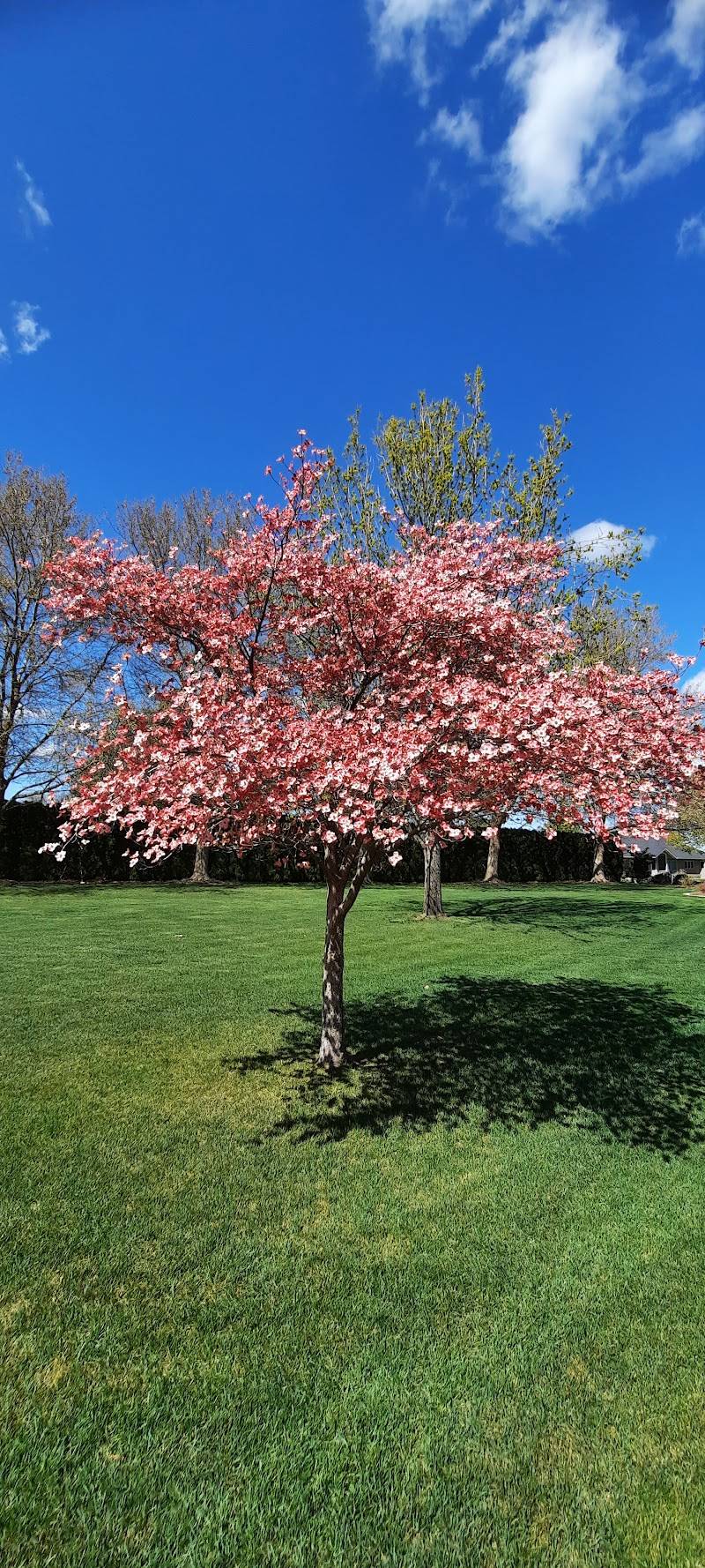 West Richland